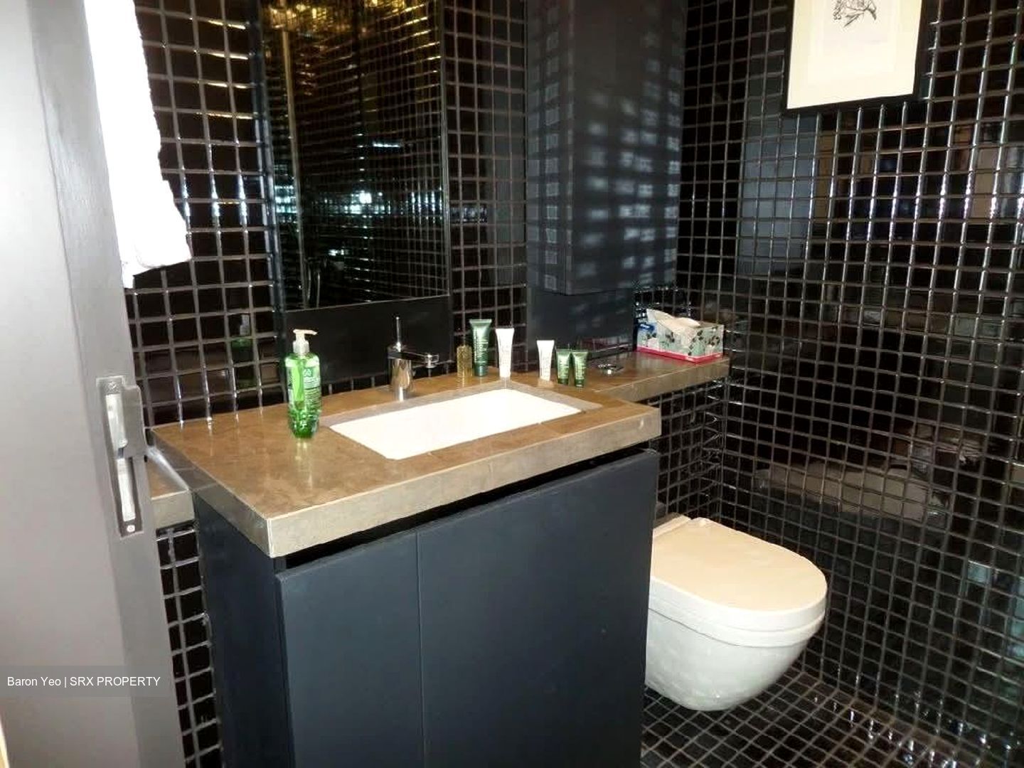 Skysuites@Anson (D2), Apartment #602228741